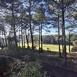 Domaine Du Golf Muscadelle * 라카노오세앙