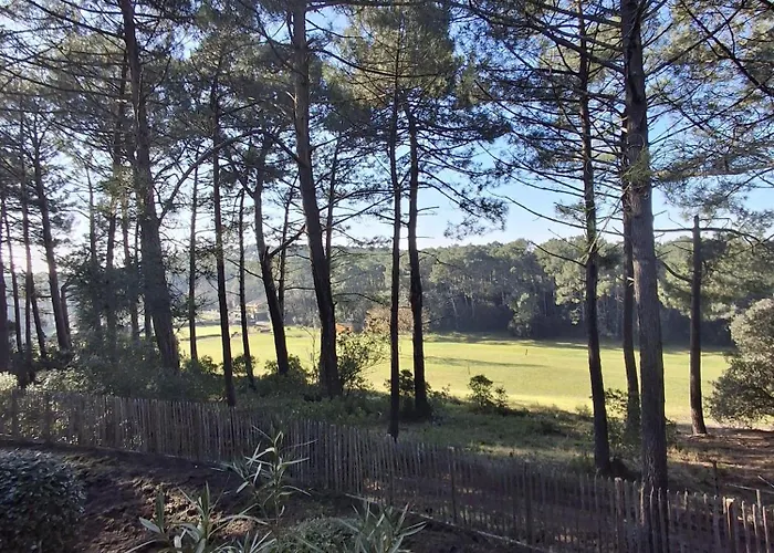 Domaine Du Golf Muscadelle * Lacanau